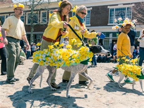 Daffodil Weekend Nantucket 2023